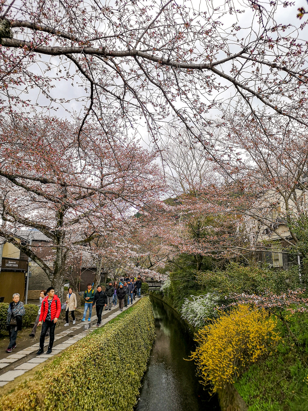 Paseo de la Filosofía (Kioto) 